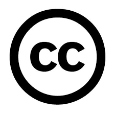 Formuler Z11 Pro Max Closed captions (CC)